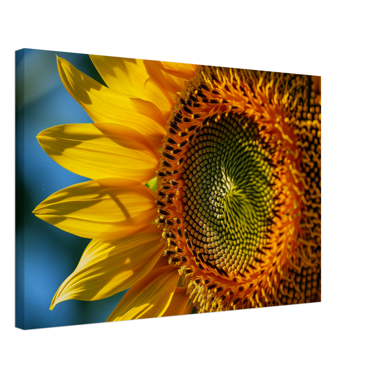 13548634-c5f3-4ee7-80fe-b99415390698