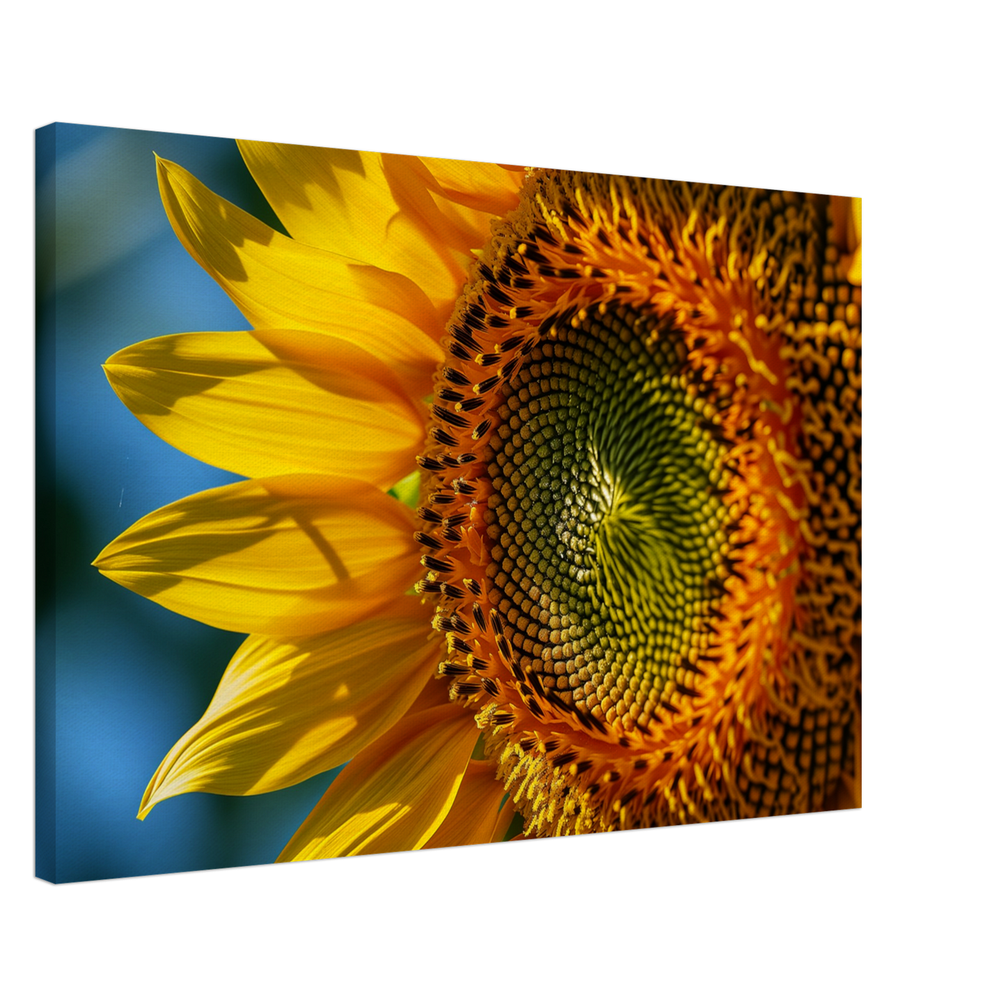 1a73bda7-5161-47ff-b986-2fc0862b37dc