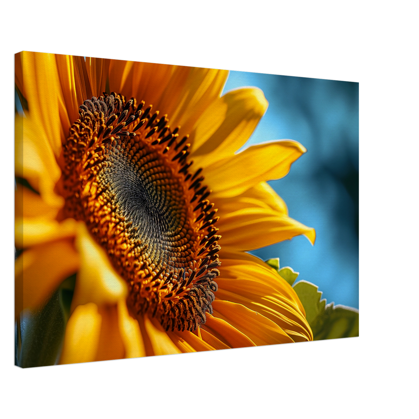 270b7fb9-4cc1-45ff-842f-19da3d2ef709