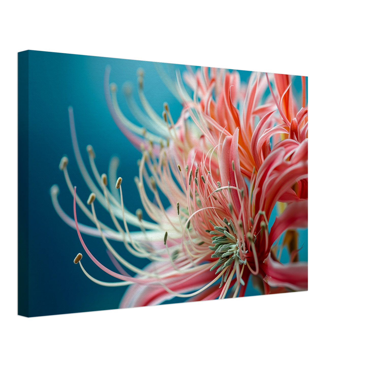 35b1adf8-28d8-4f9e-8231-cc44dc08765a