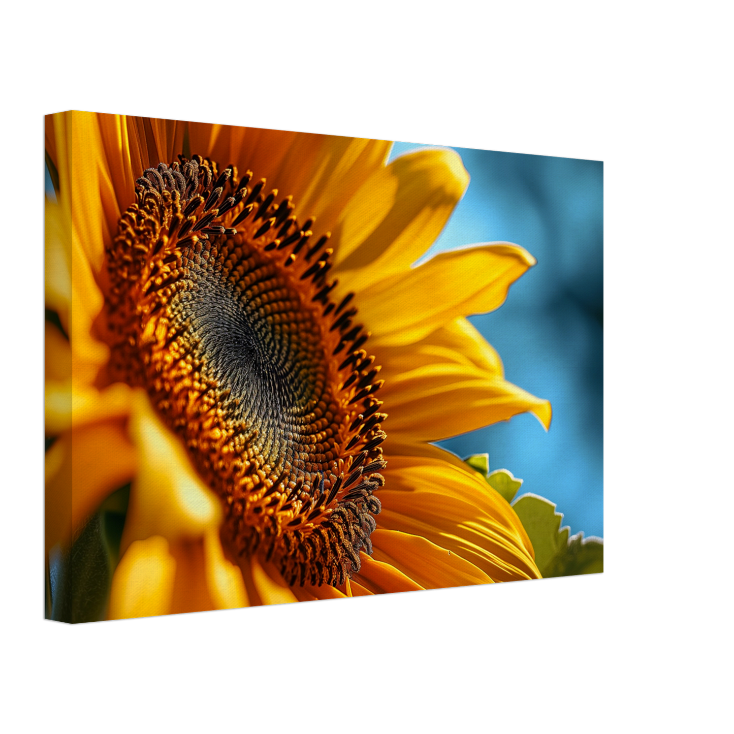 5fce0dfd-ba63-4c2d-a368-6dff6a3b45fe