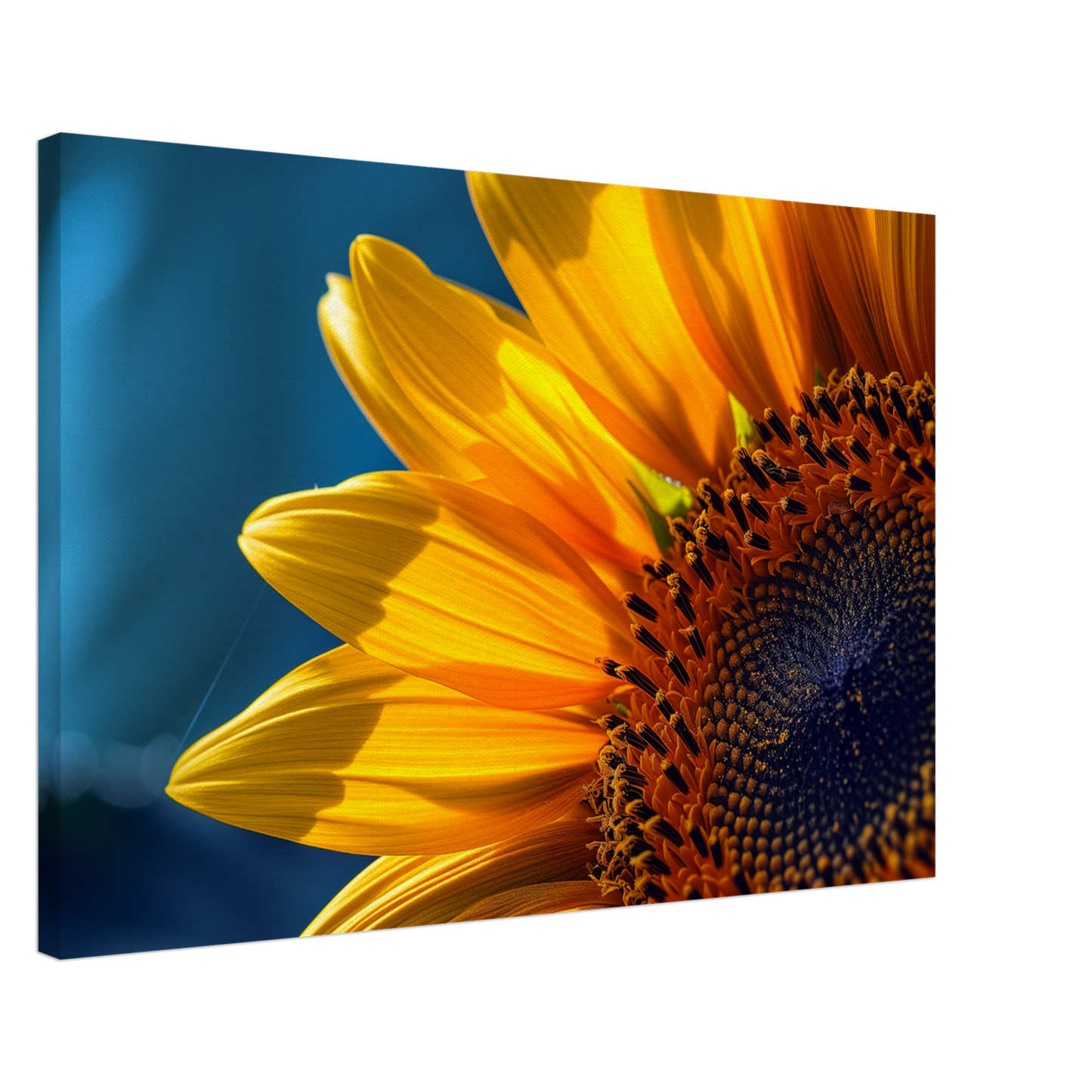84a60620-de92-40ac-b856-fa427488d6ba