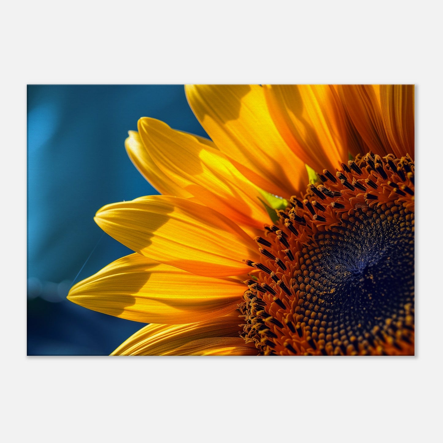 8952a38d-596d-4bcc-9748-eb60e3ad3047