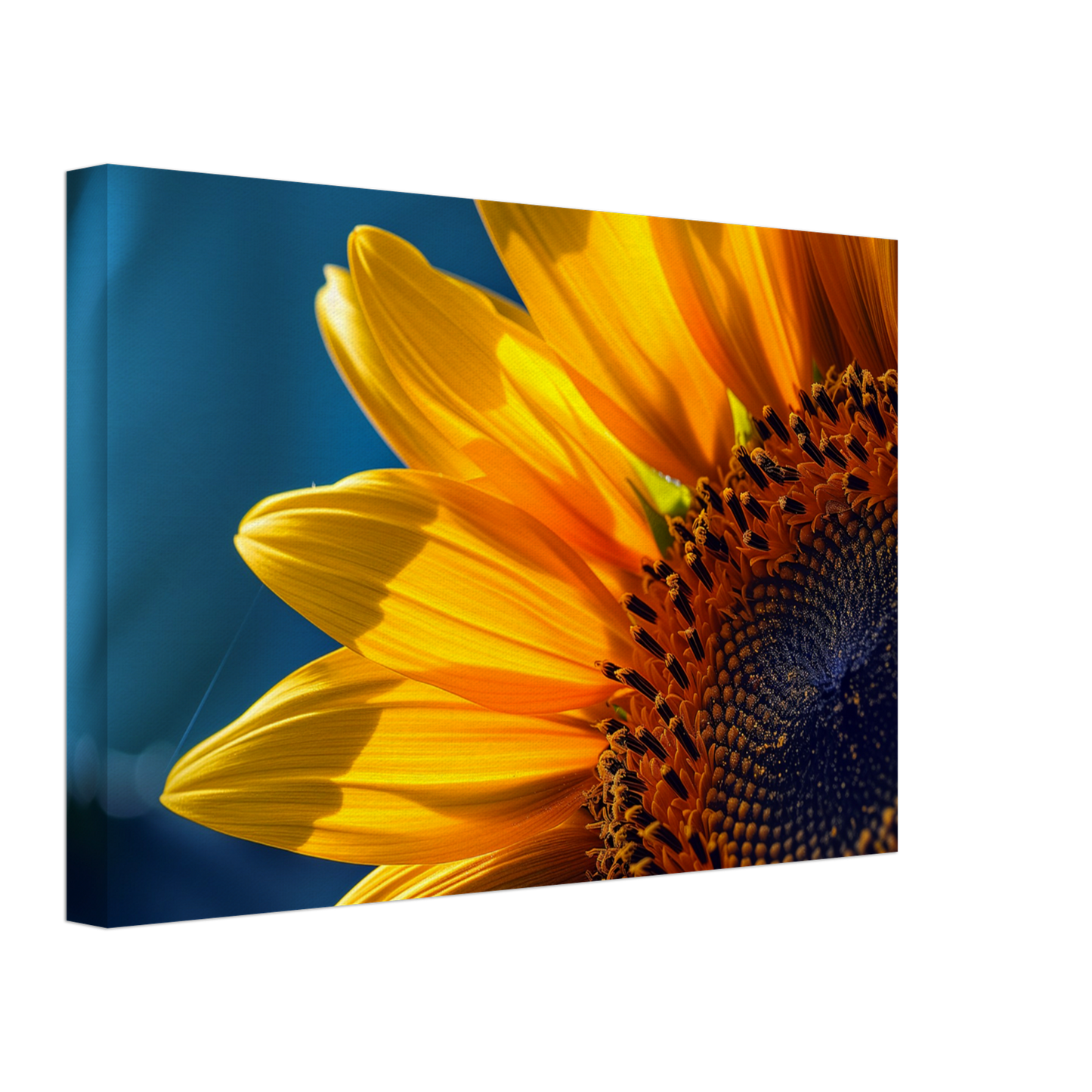 a86ee80b-3005-44ea-bb9b-ef69d1f5c0fa