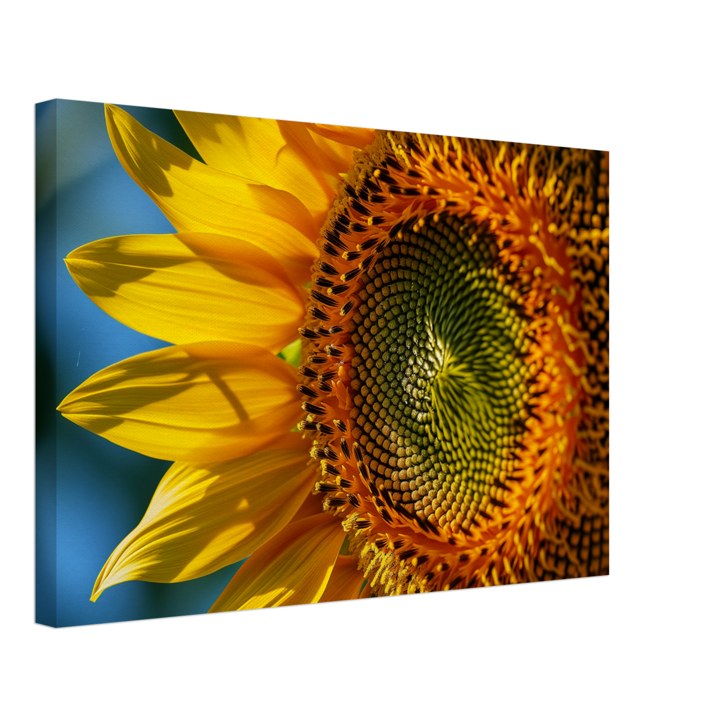 ea594715-91db-4eed-abe8-5e2d8368e07b