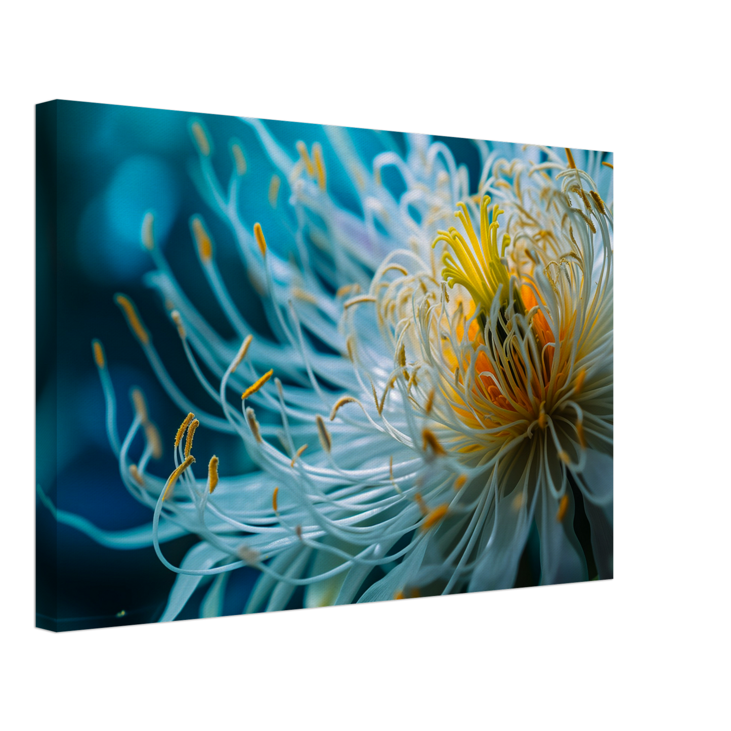 ab465352-89d6-438f-a7de-f15a47aeaff3